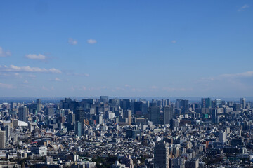 Fototapeta na wymiar 晴れた日に高層ビルの展望室から東京都内を撮影。