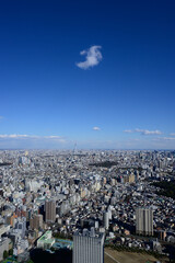 Fototapeta premium 晴れた日に高層ビルの展望室から東京都内を撮影。