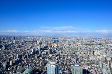 Fototapeta premium 晴れた日に高層ビルの展望室から東京都内を撮影。