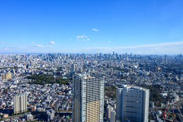 晴れた日に高層ビルの展望室から東京都内を撮影。