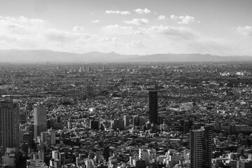 高層ビルから東京都内のビル群をモノクロームで撮影