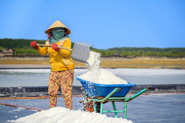 Close-up photo of a woman scooping coarse salt with a shovel onto a wheelbarrow to transport to her warehouse in Ly Nhon commune, Can Gio district, Ho Chi Minh City, Vietnam