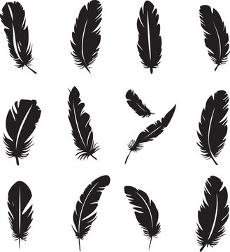 Fototapeta Set of black silhouettes feather icons 