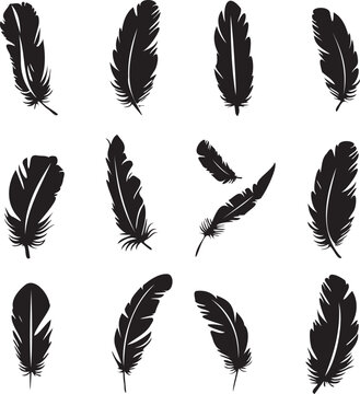 Set of black silhouettes feather icons 