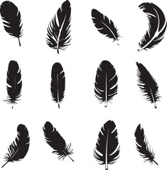 Set of black silhouettes feather icons 