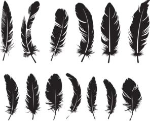 Papier peint Plumes Set of black silhouettes feather icons 