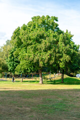 View of a public park during spring in England