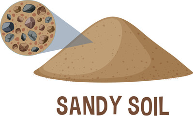Detailed vector of sandy soil and its components