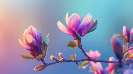 Zelfklevend Fotobehang A radiant magnolia flower against a blurred pink and purple backdrop symbolizing springtime freshness © thanakrit