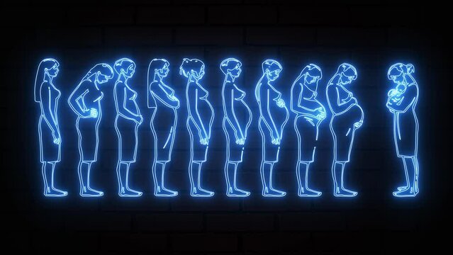 Glowing blue neon pregnancy stage icon animation is the simple best object on a brick wall. Human embryonic development