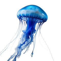 watercolor jellyfish