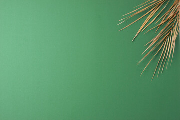 Tropical natural background with palm leaf on green. Flat lay, copy space