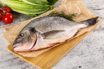 Raw dorada fish served rosemary