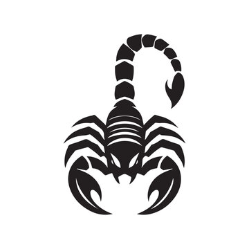 Scorpion logo vector design illustration with a modern and simple concept