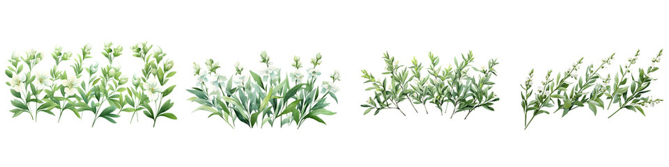 Beardtongue branches with green leaves watercolor illustration. Flat vector illustration isolated...