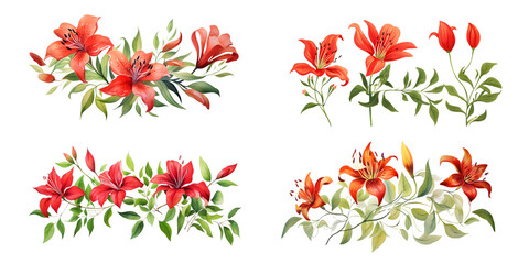 Gloriosa Lily branches with green leaves watercolor illustration. Flat vector illustration isolated on white background