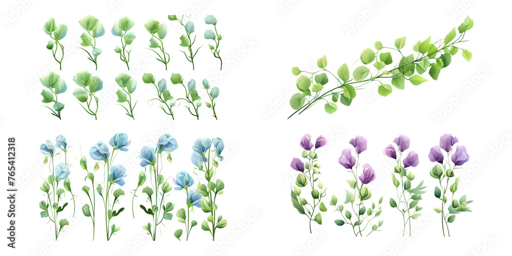 Wall mural sweet pea branches with green leaves watercolor illustration. flat vector illustration isolated on w