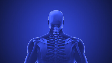 Medical animation for neck discomfort