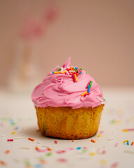 Closeup of a pink cupcake with sprinkles on top