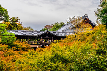 Obraz premium Colorful Platform Raining Fall Leaves Tofuku-Ji Buddhist Temple