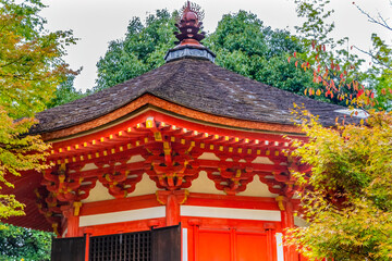 Fototapeta premium Colorful Red Aizendo Fall Leaves Tofuku-Ji Buddhist Temple Kyoto