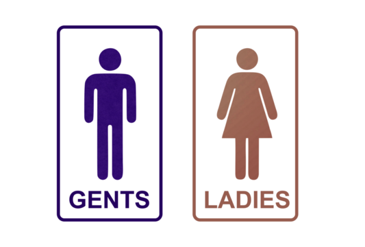 TOILET icon symbol brown and blue