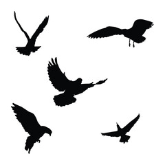 Vector silhouette of flying birds vector isolated