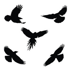 Vector silhouette of flying birds vector isolated