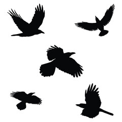 Vector silhouette of flying birds vector isolated