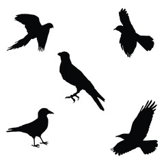 Vector silhouette of flying birds vector isolated