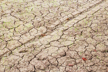 Cracked Ground Background
