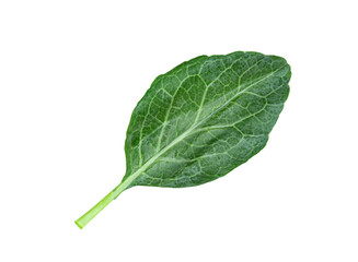 Chinese kale isolated, Green leaves of collards pattern