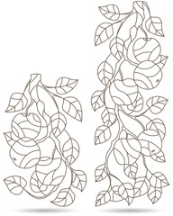 Set of contour illustrations of stained glass Windows with tree branches, Apple tree branch with ripe fruit and leaves, dark contours on white background