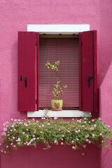 Potted plants near window of pink house