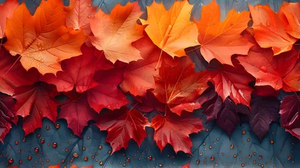 Plexiglas foto achterwand a maple leave background with a autumn © Davy