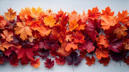 Naklejka na ściany i meble a maple leave background with a autumn