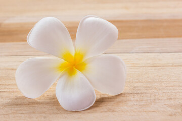 Fototapeta na wymiar Frangipani flower on wooden table