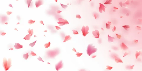 Deurstickers Pink cherry blossom petals flying in the air white background.banner. © Planetz