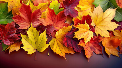 Naklejka na ściany i meble Vibrant autumn maple leaves nature beauty showcased, AI Generative.