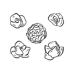 Set of rose flowers black line art isolated on white background
