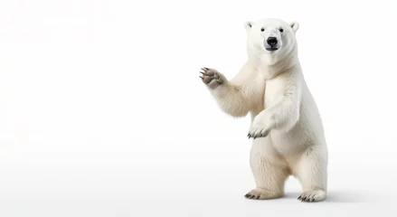 Wandaufkleber Polar Bear (Ursus maritimus) isolated on white background in Canada, North America © chiew