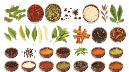 Different kinds of spices on wooden background 
