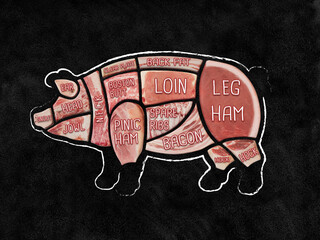 Pork Meat Cuts Diagram. Cut of meat set. Poster Butcher diagram. 