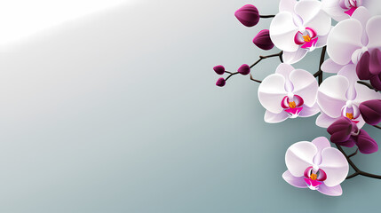 Orchid with solid color background and empty copy space