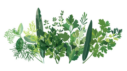 Bouquet of Parsley Sage Rosemary and Thyme flat vector - obrazy, fototapety, plakaty