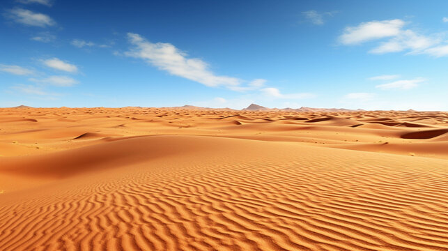 sand dunes in the desert  high definition(hd) photographic creative image
