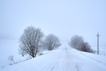 Rural winter landscape at dawn. Country road covered with snow
