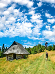Female tourist with a backpack is hiking on a mountain trail to the lookout wooden tower on Magurki peak in Gorce mountains, Poland.
Summer sunny day in mountains.