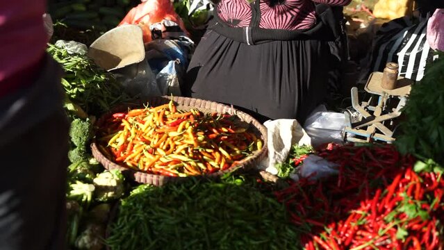 Woman farmer hands selling various vegetables at traditional market after harvest season.