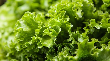 Glimpse of verdant salad fixings.